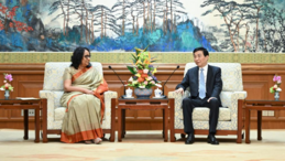 China's top political advisor meets Sri Lankan PM