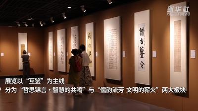 “良渚互鉴：中阿书法艺术展”开幕 笔墨架起文明对话桥