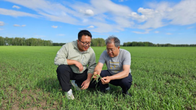 中国“农科城”杨凌搭建上合组织农业交流合作平台