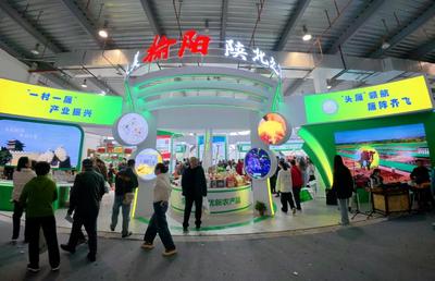 陕西榆阳区：优质特色农产品亮相杨凌农高会