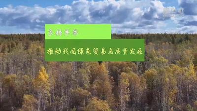 多措并举 推动我国绿色贸易高质量发展