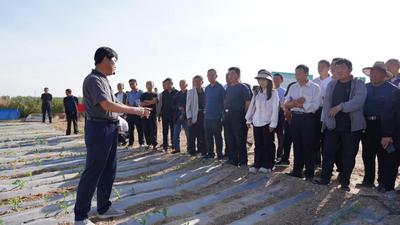 陕西横山：精准培训助力乡村振兴