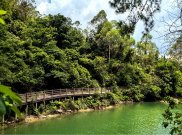 广州花都区：建“森”呼吸通道，赋能“绿美花都”