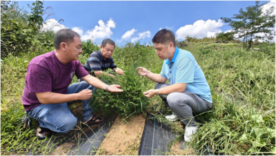 山水有灵，林下生金——广西桂林的绿色富民“生态实践”