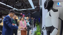 GLOBALink | Tesla VP hails CIIE as ideal platform to showcase products