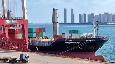 Interview: China a stable, innovative, responsible force in global development, says Ethiopian scholar