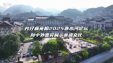 片仔癀亮相2025赤水河论坛向中外嘉宾展示非遗文化