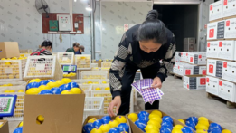 China-ASEAN agri-food trade grows 8.9 pct in first 10 months