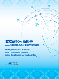 探索合作新路径 中非经贸合作报告在约翰内斯堡发布