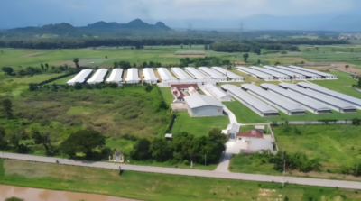 一笔俱乐部贷款浇灌“新希望”在东南亚悄然生根