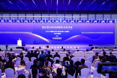 《2025中国超大特大城市治理十大案例》正式发布