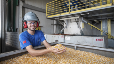 境内外协同联动  助力种业“走出去”“站得稳”