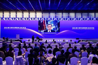 朱巨望：可持续发展未来，系于超大城市治理