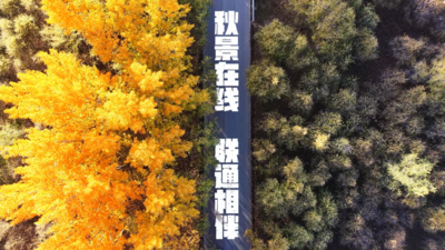 秋景在线  联通相伴