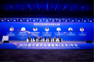 Global think tank experts and scholars offer insights on megacity governance