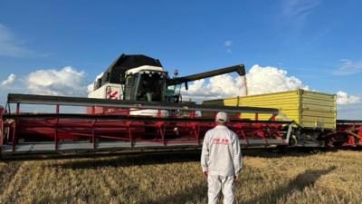 一捧中亚小麦的东方之旅