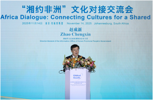Hunan-Africa Dialogue pools wisdom for cultural exchanges and cooperation