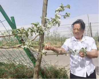 金融活水润乡土：农业银行助力土特产“出圈”记——“这五年，看山乡巨变”主题调研系列报道之一