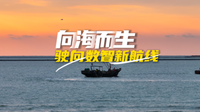 向海而生 驶向数智新航线
