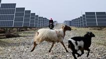 Sun, wind, prosperity: How China's green transition is reshaping rural lives