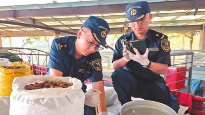 云南孟定清水河口岸首次进口缅甸夏威夷果