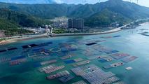 ADB OKs 142 mln USD loan to protect biodiversity in coastal cities in E. China