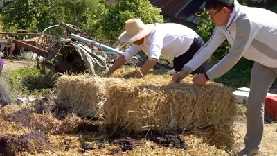 全球连线｜中国技术帮助泰国实现秸秆绿色“变身”