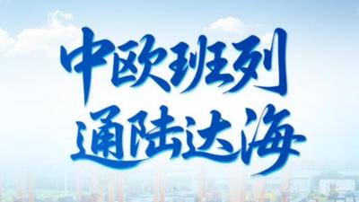 习近平总书记关切事｜中欧班列通陆达海