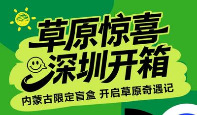 草原惊喜 深圳开箱