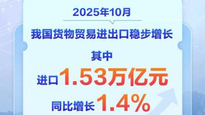 新华社权威快报丨我国进口连续5个月保持增长