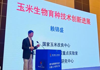 中国农业大学赖锦盛：锚定生物育种 为种业创新之路按下加速键