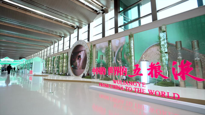 非盟前副主席点赞五粮液