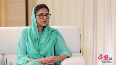 巴基斯坦国务部长：中国引领绿色转型 为全球气候治理提供典范