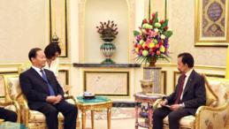 China, Brunei pledge to promote building of community with shared future