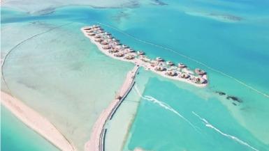 共享沙特红海生态美