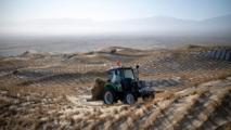 Desert control project underway in Aksay, China's Gansu