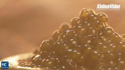 China's high-end agrifood industry brings "gourmet luxury" to global tables