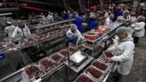 "Cherry Express" from Chile to amply supply China's New Year market