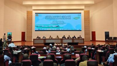 中非专家呼吁深化治沙科技合作