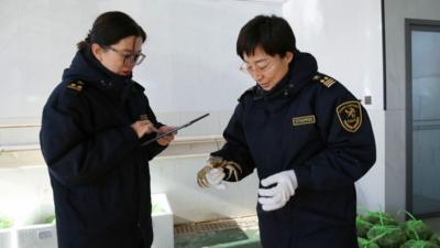 从海关数据看经济活力：农产品加速出海 “草原风味”正扩大“朋友圈”