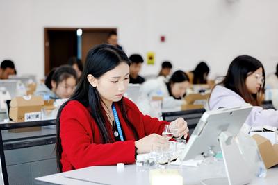 青春创意酿新篇 2025“五粮液”杯中国大学生酒类创新创意大赛在宜宾收官