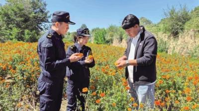 2025年前11月甘肃农产品进出口值达47.6亿元