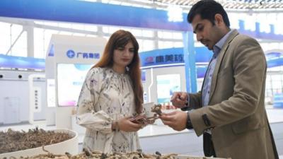 甘肃定西政企同心拓国际视野