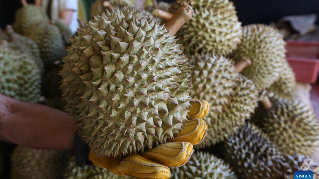 Vietnam's fruit, vegetable exports set new record in 2025