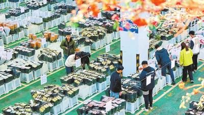 前11个月云南鲜切花出口规模居全国首位