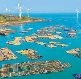 莆田秀屿南日岛推出“我在南日岛有片海”认养计划   激活共富新动能