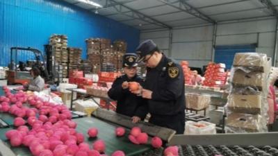 甘肃五年进出口总值平均增速近15% 百余种产品实现首次出口