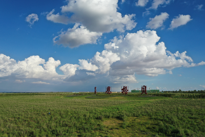 黄沙终披绿 点绿已成金——解码恩格贝生态示范区获评国家“两山”实践创新基地绿色答卷