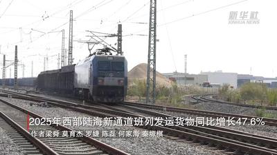 2025年西部陆海新通道班列发运货物142.5万标箱 同比增长47.6%