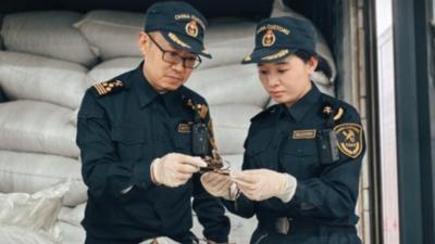 云南天保口岸首批动物源性中药材顺利通关